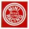 Mini racing