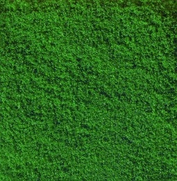 Sachet de flocage couleur vert moyen / Nouveaut�s