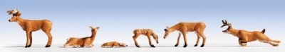 Cerfs / Nouveaut�s