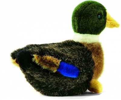 Colvert duck / Small < 25cm