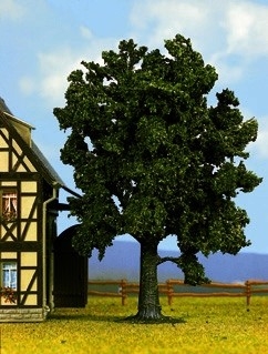 Nut tree hight 14cm / Arbres