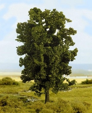 Ash 19cm / Arbres