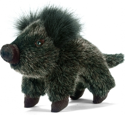 Baby wild boar / Small < 25cm