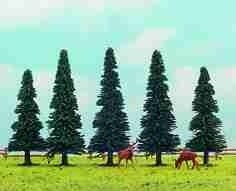 Sapins (5) de 8 � 10 cm / Arbres