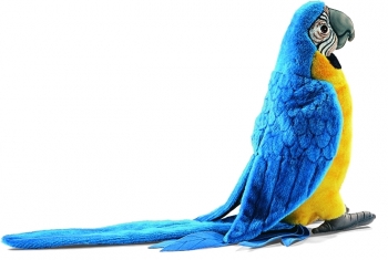 Ara bleu