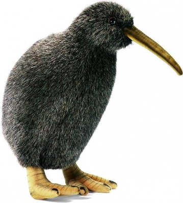 Kiwi / Medium < 50cm
