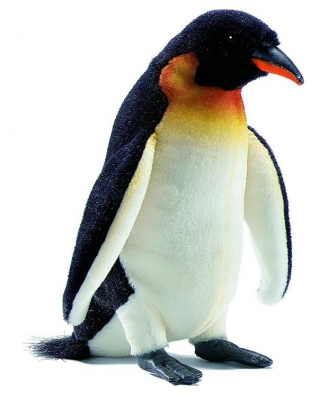 Manchot empereur / Petit < 25cm