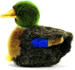 Baby colvert duck / Small < 25cm