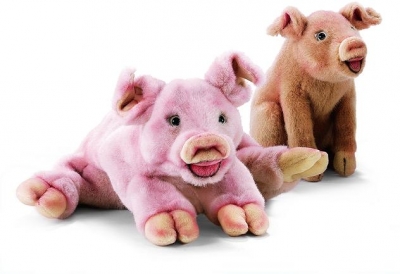 Cochon couch� / Petit < 25cm
