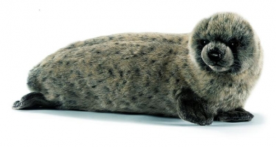 Grey seal / Medium < 50cm