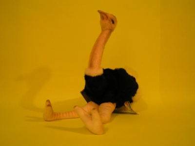 Ostrich Gregor'a (floppy) / Small < 25cm