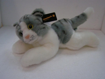 Chaton gris blanc couch�
