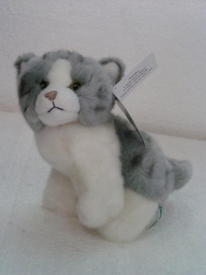 Petit chaton gris