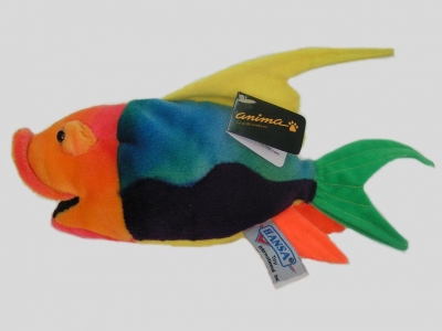 Poisson des tropiques / Petit < 25cm