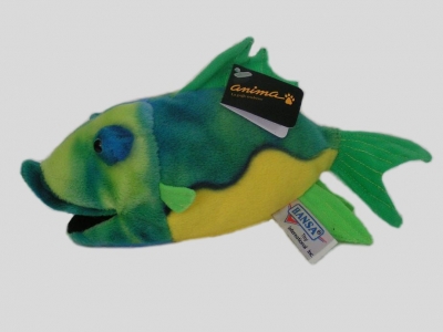 Poisson des tropiques / Petit < 25cm