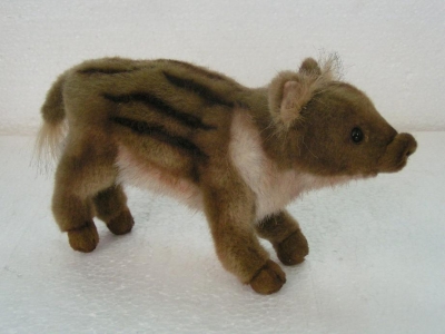 Marcassin / Petit < 25cm