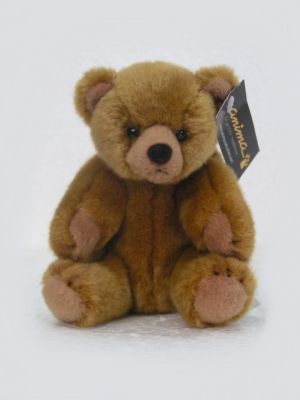 Petit ours