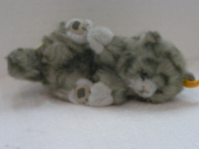 Chaton gris / Promotions
