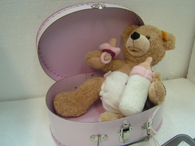 Teddy Bear baby Fynn dans sa valise / Petit < 25cm