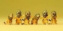 6 lions dressés / Cirque