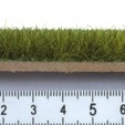 Wild grass XL beige (0,47 in long) Kits and landscapes