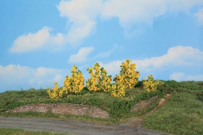 HEKI 6 arbustes forsythias 3/6cm News