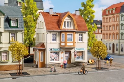 AUHAGEN kit à construire en plastique teinté  de maison du photographe 