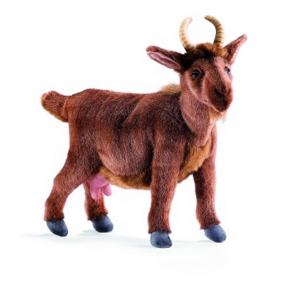 Little brown goat Toys