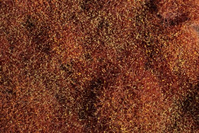 AUHAGEN matériaux pour réaliser des buissons en hiver (4-30mm) (50gr) News