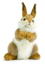 ANIMA Rabbit brown Cuddly Toys