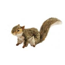 ANIMA écureuil à 4 pattes (longueur 30cm env) Cuddly Toys
