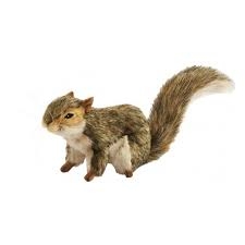 ANIMA écureuil à 4 pattes (longueur 30cm env) Peluches