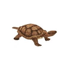 ANIMA tortue (avec tête rétractable) (longueur 20cm env) Peluches