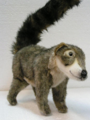 ANIMA coatimundi 35cm length Cuddly Toys