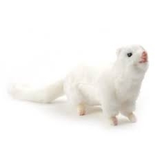 ANIMA furet blanc (longueur 30cm env) Peluches