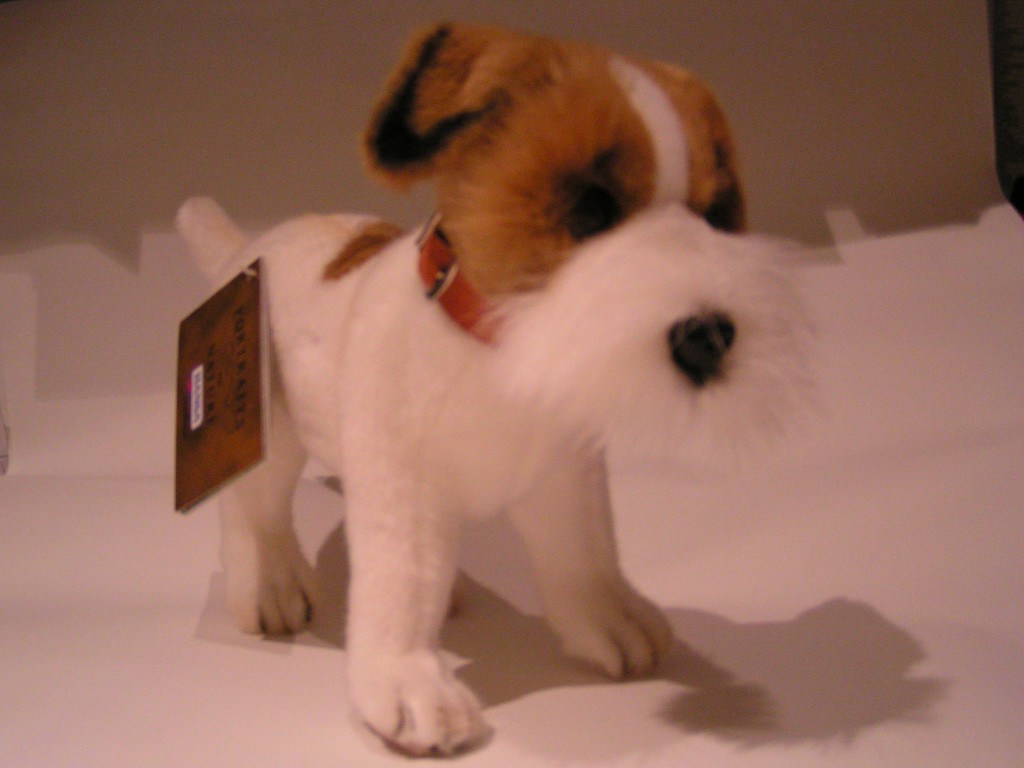 Anima Bebe Jack Russel Terrier 30cm Planet Passions