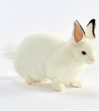 ANIMA rabbit white laying 34cm lenght Cuddly Toys