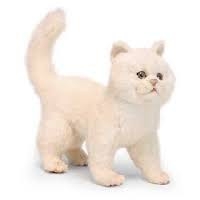 ANIMA Chat blanc à 4 pattes hauteur 29cm Peluches