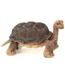 ANIMA Tortue des Galapagos Peluches