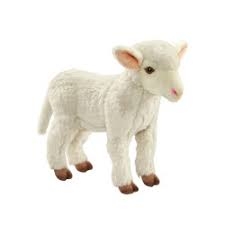 ANIMA agneau blanc Peluches