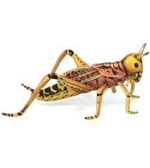 ANIMA Locust Grasshopper Cuddly Toys