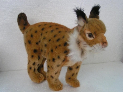 ANIMA Lynx brun Peluches