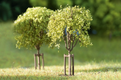 AUHAGEN kit pour construire 10 jeunes arbres fraîchement plantés Echelle HO