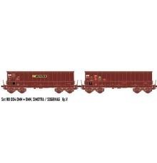 LS MODELS set de 2 wagons DMH Brun 