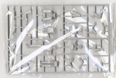 FUJIMI plastic kit 