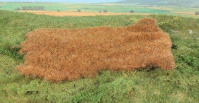 HEKI plaque de prairie sauvage fin d'automne(14x 28cm) Decors et diorama