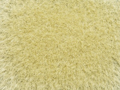 NOCH gros sachet d'herbes sauvages hauteur 9mm doré (50g) HO scale