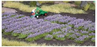 NOCH Lavender Kits and landscapes