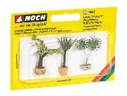 3 composition de plantes ornementales Decors et diorama