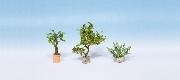 NOCH 3 compositions de plantes ornementales Decors et diorama